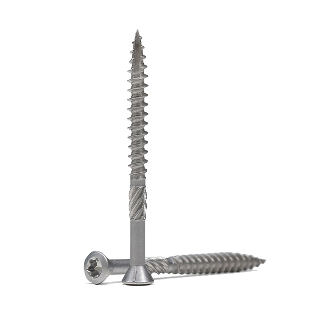 برغي التزيين الصغير SS Torx