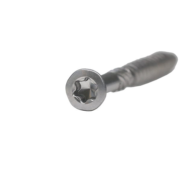 برغي التزيين الصغير SS Torx